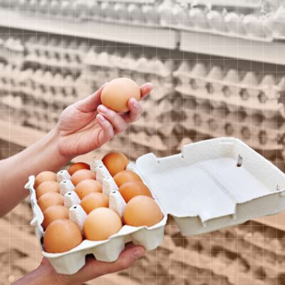 Poultry Eggs (buy in crates of 50 above)