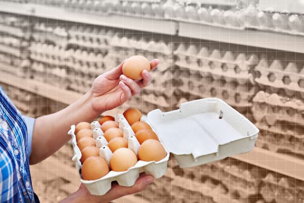 Poultry Eggs (buy in crates of 50 above)